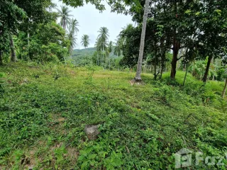 For sale land in Khanom, Nakhon Si Thammarat
