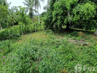 For sale land in Khanom, Nakhon Si Thammarat