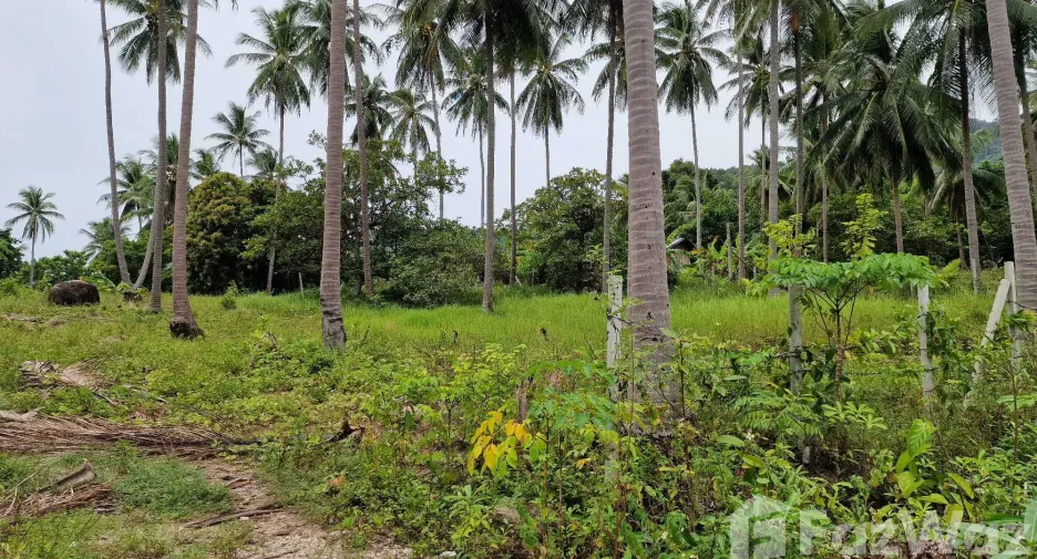 For sale land in Khanom, Nakhon Si Thammarat