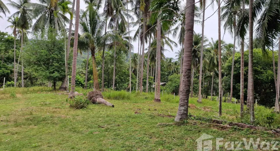 Terreno en venta en Khanom, Nakhon Si Thammarat