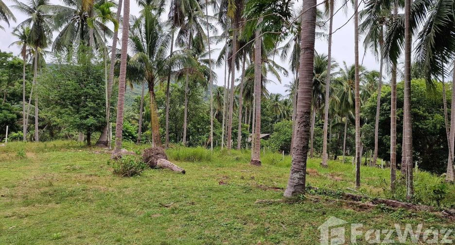 For sale land in Khanom, Nakhon Si Thammarat