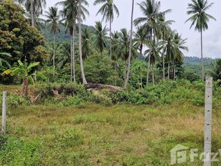 For sale land in Khanom, Nakhon Si Thammarat