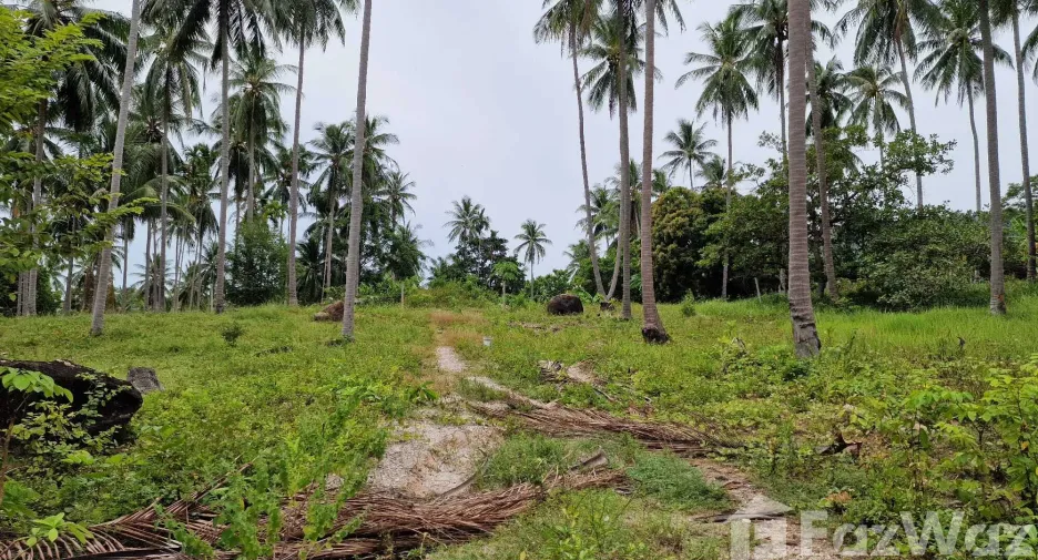 Terreno en venta en Khanom, Nakhon Si Thammarat