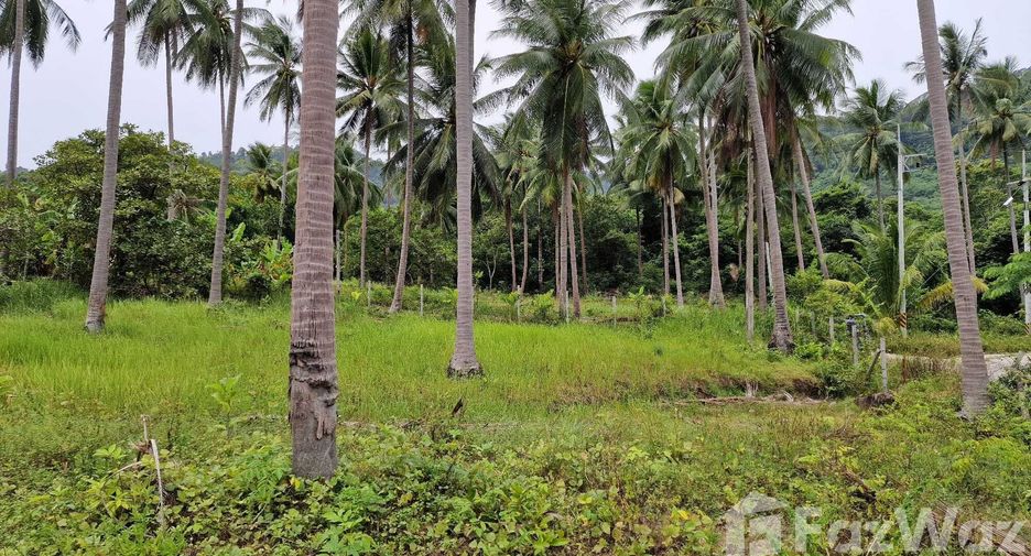 Terreno en venta en Khanom, Nakhon Si Thammarat