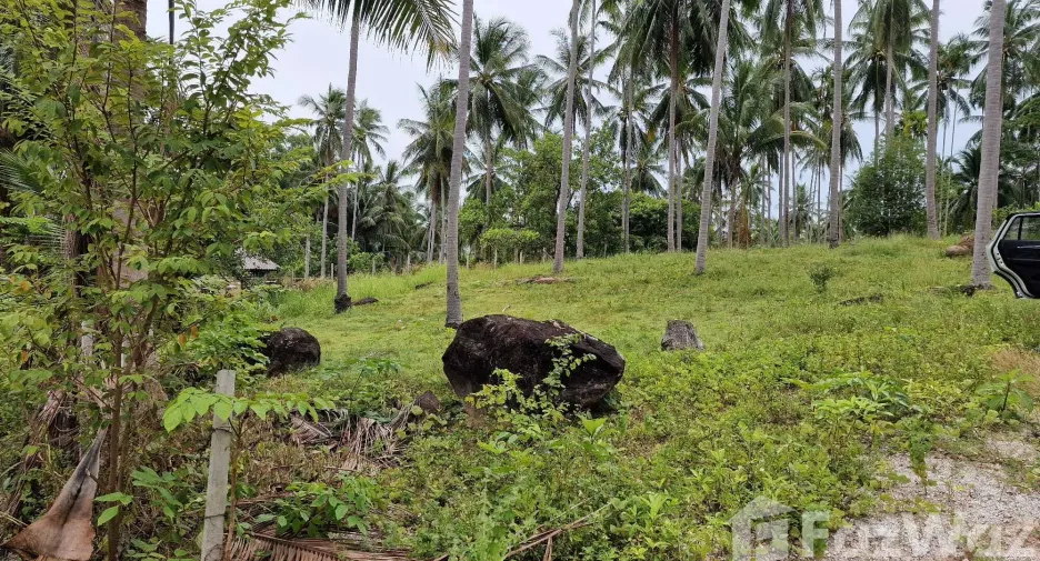 Terreno en venta en Khanom, Nakhon Si Thammarat