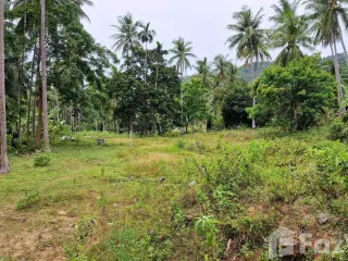 For sale land in Khanom, Nakhon Si Thammarat