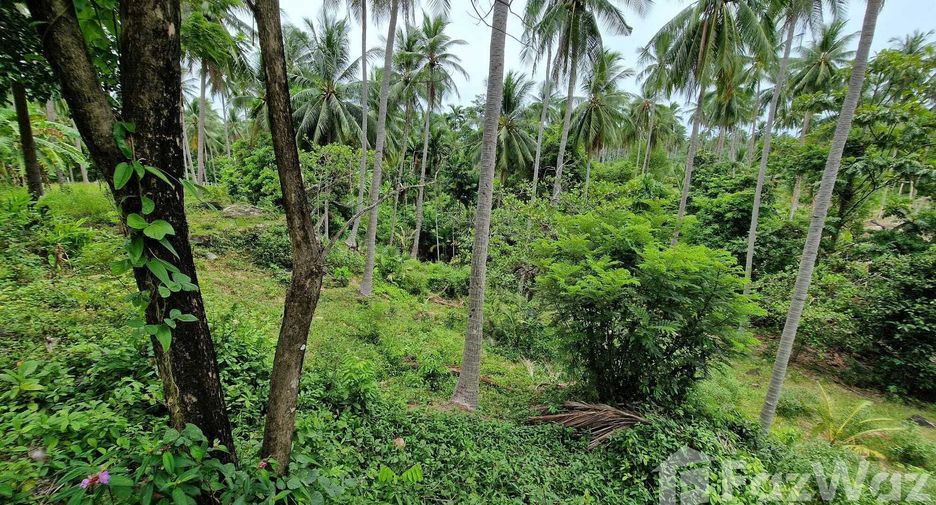 Terreno en venta en Khanom, Nakhon Si Thammarat