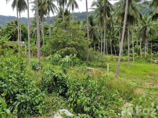 For sale land in Khanom, Nakhon Si Thammarat