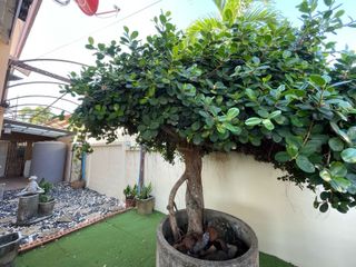 For rent 3 bedrooms house in Thalang, Phuket