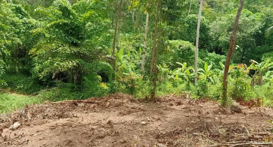 Grundstück zum Kauf in Ko Samui, Surat Thani