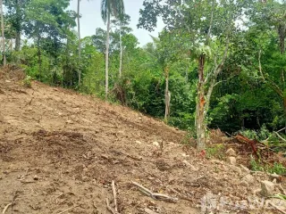 Grundstück zum Kauf in Ko Samui, Surat Thani