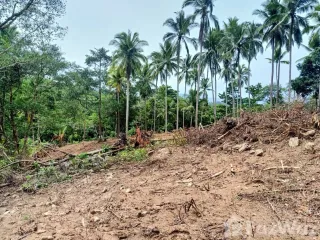 Grundstück zum Kauf in Ko Samui, Surat Thani