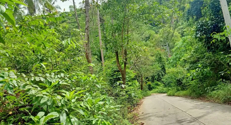 Grundstück zum Kauf in Ko Samui, Surat Thani