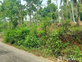 Grundstück zum Kauf in Ko Samui, Surat Thani