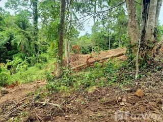 Grundstück zum Kauf in Ko Samui, Surat Thani