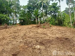 Grundstück zum Kauf in Ko Samui, Surat Thani