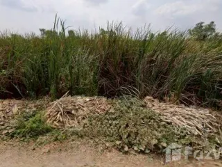 出售 土地 在 Khlong Luang, Pathum Thani