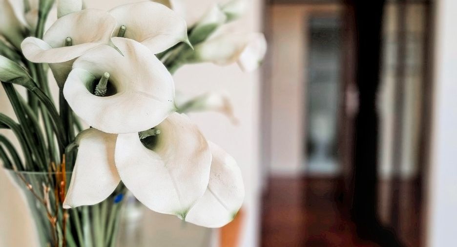 For rent 2 bedrooms condo in Watthana, Bangkok