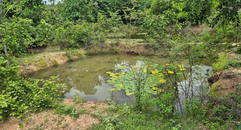 For sale land in Chom Thong, Chiang Mai