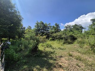 ขาย ที่ดิน ใน จอมทอง, เชียงใหม่