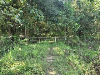 ขาย ที่ดิน ใน จอมทอง, เชียงใหม่