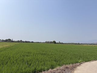 ขาย ที่ดิน ใน จอมทอง, เชียงใหม่