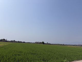 ขาย ที่ดิน ใน จอมทอง, เชียงใหม่