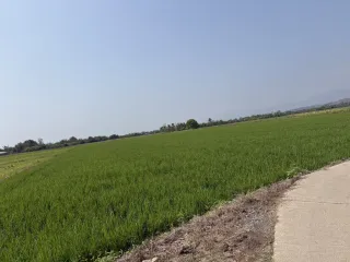 ขาย ที่ดิน ใน จอมทอง, เชียงใหม่