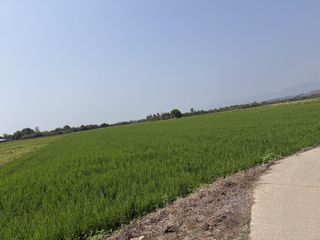 ขาย ที่ดิน ใน จอมทอง, เชียงใหม่