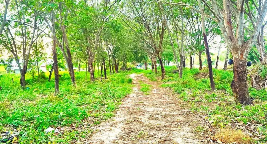 For sale land in Nikhom Phatthana, Rayong