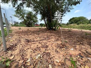 Grundstück zum Kauf in Bang Lamung, Chonburi
