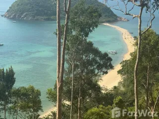 À vendre terrain à Ko Pha-ngan, Surat Thani