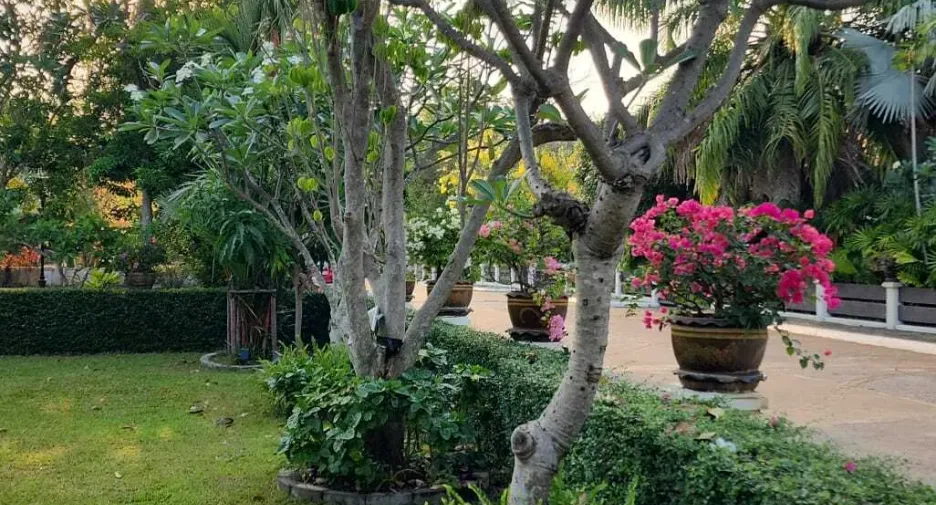 For sale 3 bedrooms house in Sattahip, Chonburi