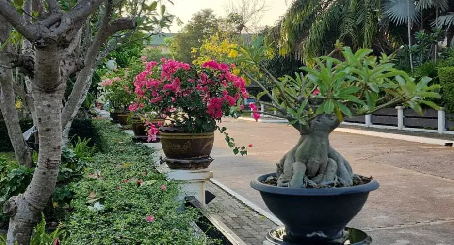 For sale 3 bedrooms house in Sattahip, Chonburi