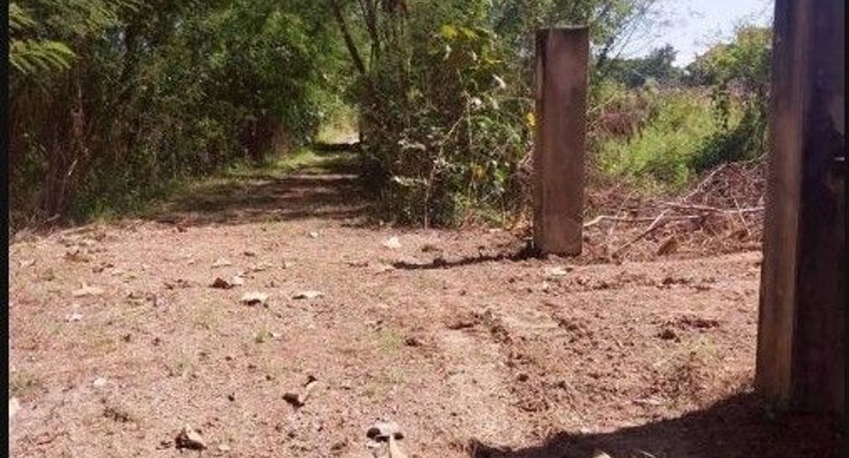 For sale land in Mueang Chiang Mai, Chiang Mai
