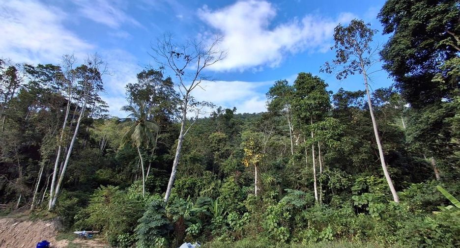 For sale land in Ko Samui, Surat Thani