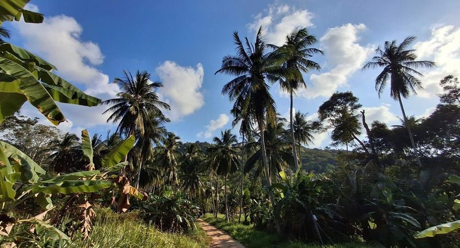 For sale land in Ko Samui, Surat Thani