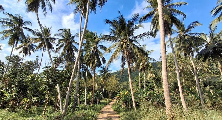 For sale land in Ko Samui, Surat Thani