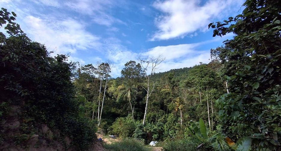 For sale land in Ko Samui, Surat Thani