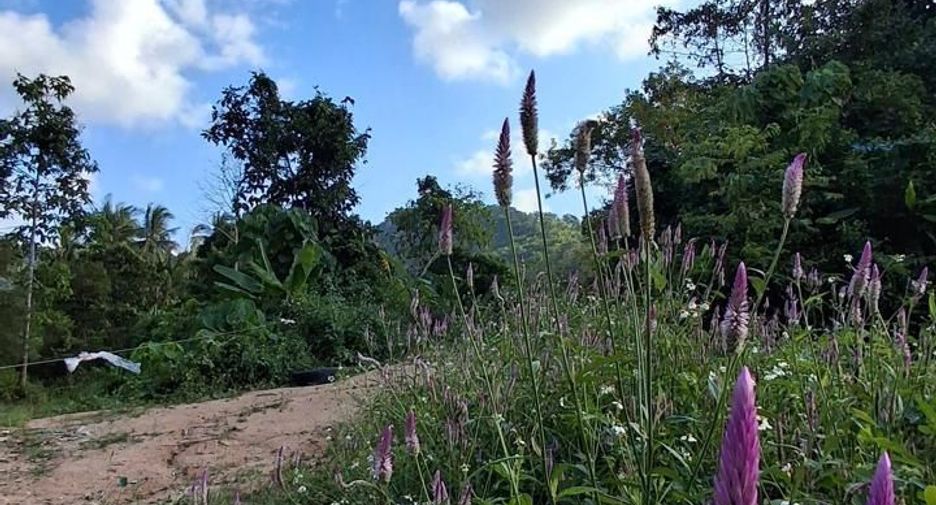 For sale land in Ko Samui, Surat Thani