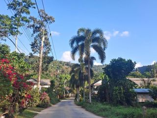 For sale land in Ko Samui, Surat Thani