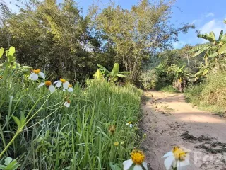 Grundstück zum Kauf in Ko Samui, Surat Thani