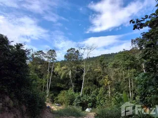 Grundstück zum Kauf in Ko Samui, Surat Thani