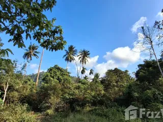 Grundstück zum Kauf in Ko Samui, Surat Thani