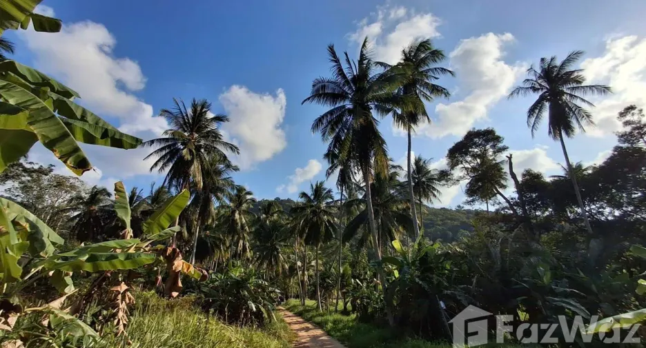 Grundstück zum Kauf in Ko Samui, Surat Thani