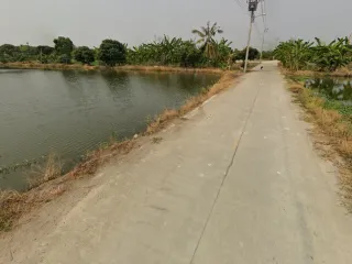For sale land in Bang Sao Thong, Samut Prakan