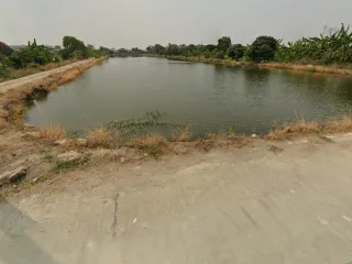 For sale land in Bang Sao Thong, Samut Prakan