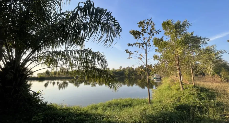 For sale land in Mueang Kalasin, Kalasin