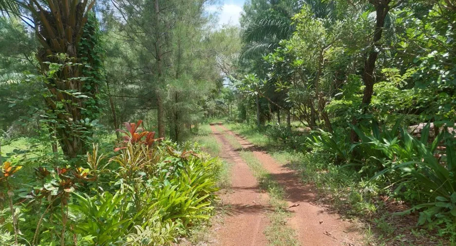 For sale land in Mueang Kalasin, Kalasin