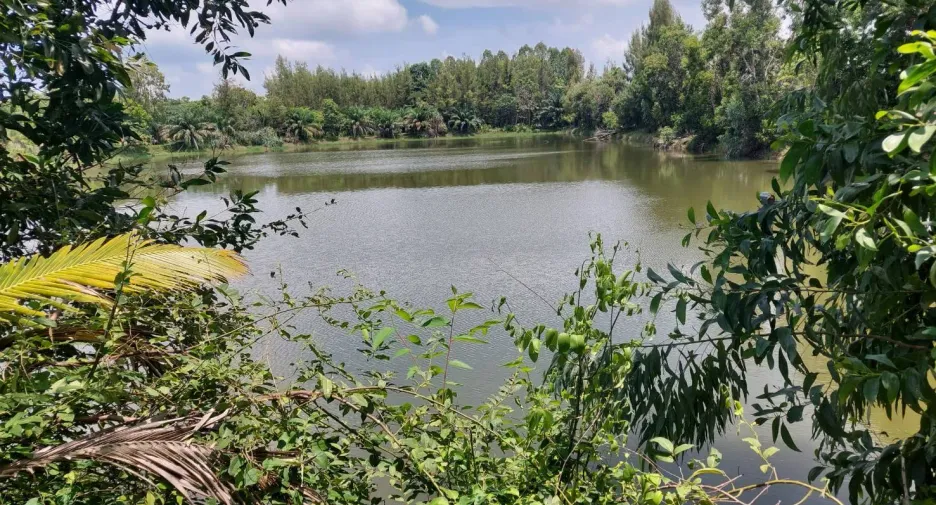 For sale land in Mueang Kalasin, Kalasin
